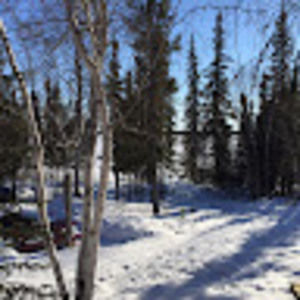 Meet your Posher, Anne